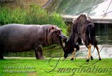 DZB3J050773 nijlpaard / Hippopotamus amphibius nyala / Tragelaphus angasii