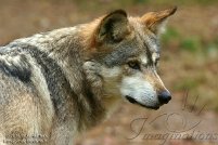 Columbus Zoo 2014