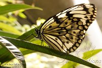 Smithsonian Natural History Museum 2014