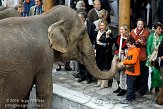 BPPG109059 lekkers vanuit het publiek