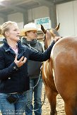 WMB2014049 Taru Kalimo, een dierenarts die daarnaast ook nog fysiotherapie en chiropractie doet bij paarden