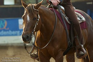 Open dag Western Manege