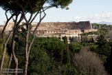 ITRO116345 Colosseum