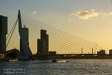 NLrdam20150007 Rotterdam