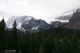 CABA1232539 Crowfoot Glacier