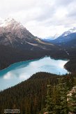 CABA1232561 Peyto Lake