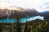 CABA1232562 Peyto Lake