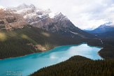 CABA1232567 Peyto Lake