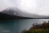 CABA1232584 Waterfowl Lake