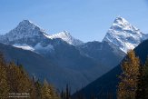 CABA1231731 Mount Sir Donald