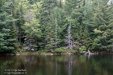 ON20150081 Tea Lake Dam, Algonquin Provincial Park