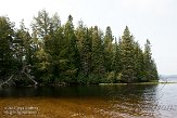 ON20150132 Lake of Two Rivers east beach, Algonquin Provincial Park