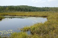 Algonquin Provincial Park