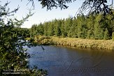 QC20150218 Jacques-Cartier National Park