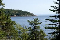 Tadoussac Area