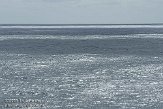 GBCW2090013
