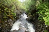 GBSC0122181 An Torr
