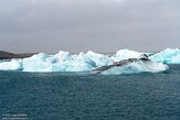 IS20251102 Jökulsárlón Glacier Lagoon