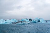 IS20251136 Jökulsárlón Glacier Lagoon