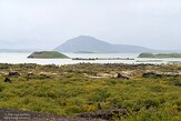 IS20250551 Mývatn