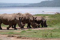 Lake Nakuru National Park