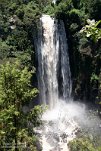 Thomsons Falls