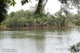 MG20160031 Ivoloina (Parc Zoologique), Tamatave