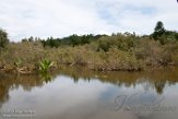 MG20160038 Ivoloina (Parc Zoologique), Tamatave