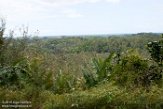 MG20160049 Ivoloina (Parc Zoologique), Tamatave