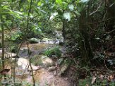 MG20161345 Ranomafana National Park