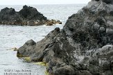 ASM04110841 Mosteiros