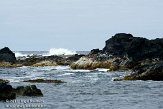 ASM04110853 Mosteiros