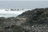 ASM04110860 Mosteiros