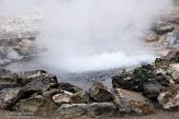 ASM04211242 Caldeiras das Furnas