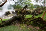 ASM02210893 Caldeiras da Lagoa das Furnas