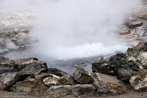Furnas