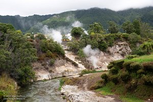 Furnas