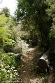 ELG0310296 Laguna Grande II trail