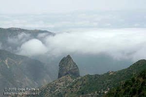 Parque Nacional de Garajonay