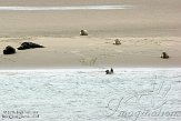 NLZ20150042