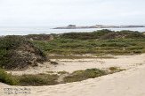 USCA0411469 Año Nuevo State Park