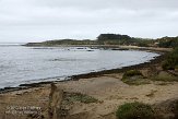 USCA04131458 Año Nuevo State Park