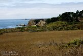 USCA04131476 Año Nuevo State Park
