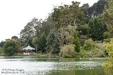 USCA05131649 Golden Gate Park