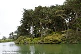 USCA05131653 Golden Gate Park