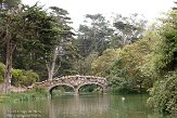 USCA05131654 Golden Gate Park