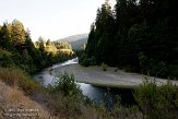 USCA06131810 Avenue of the Giants - Humboldt Redwoods State Park