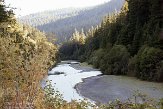 USCA06131814 Avenue of the Giants - Humboldt Redwoods State Park