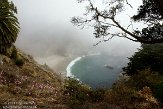 USCA01130101 Julia Pfeiffer Burns State Park