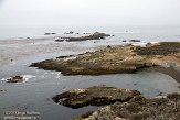 USCA01130122 Point Lobos State Reserve